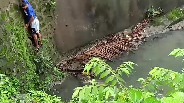 Two Young Heroes Save an Injured Mama Dog Stuck in a River