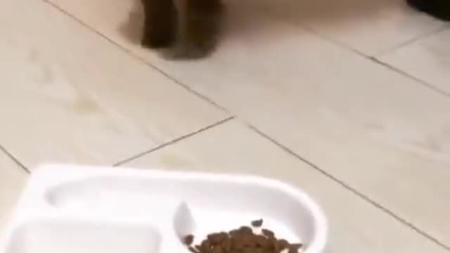 New
