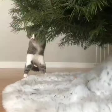 Dopo due interventi è ancora bellissima, ti amo tantissimo