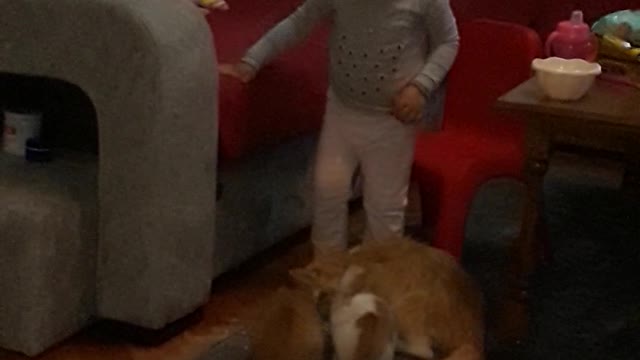 the little girl eats like a kitten