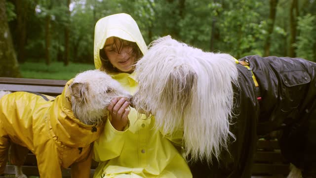 woman with her dogs in the rain.mp4