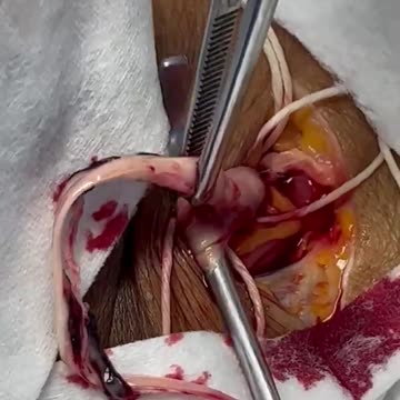 wake up and never forget how they murdered our loved ones and neighbors