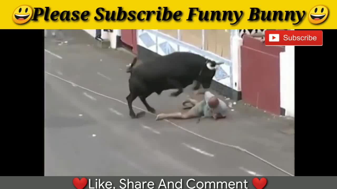 funny videos bullfighting festival funny crazy bull fails