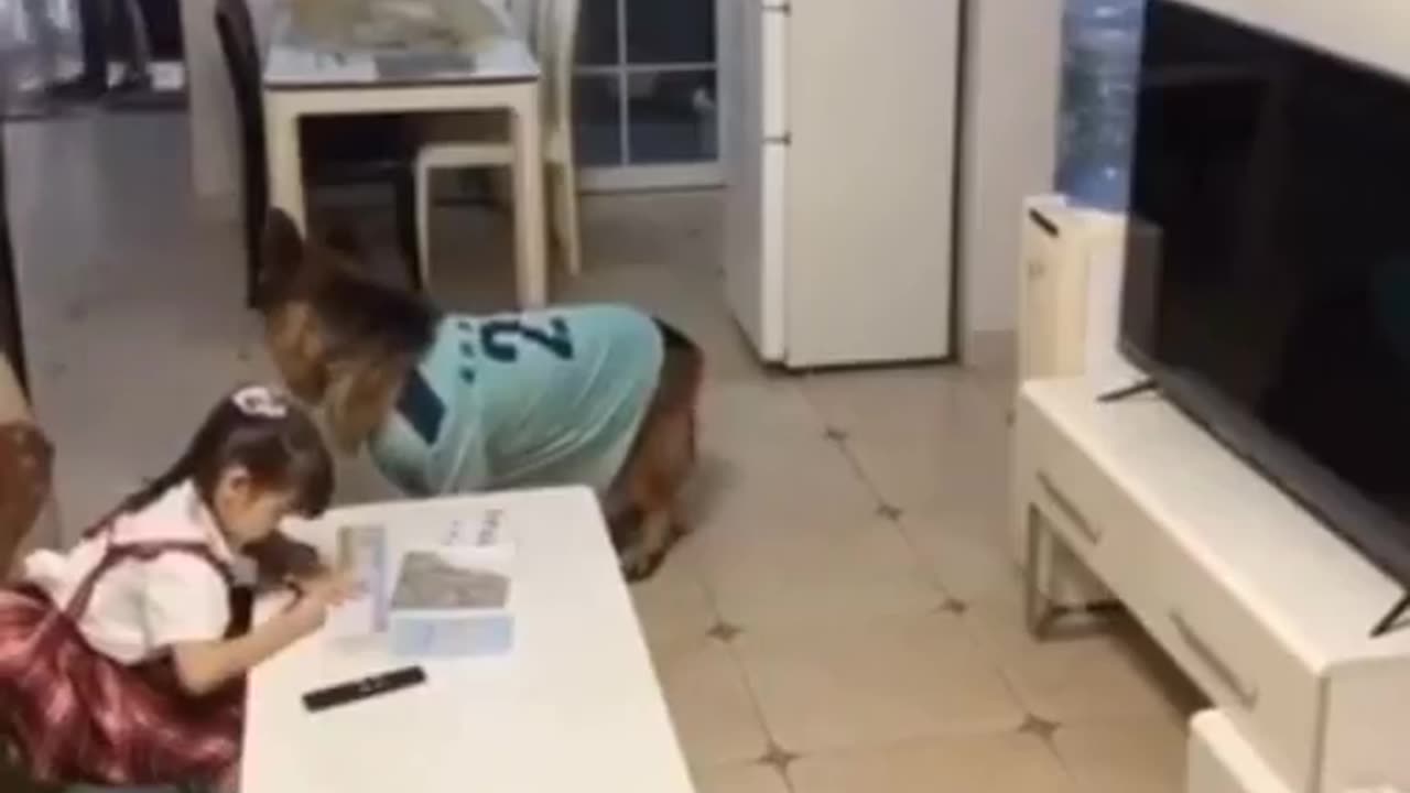 Dog sense parent’s approach - alerts tiny human to get on with homework..