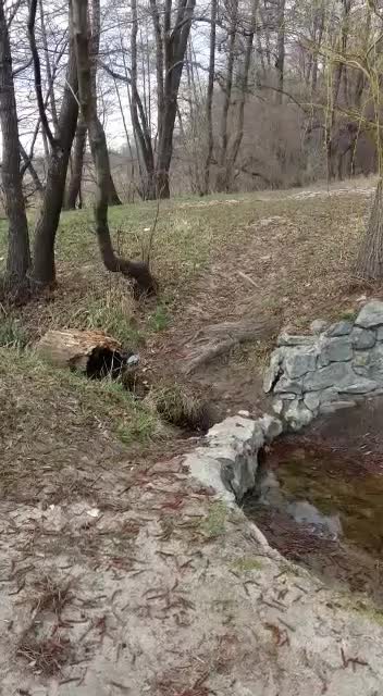 Студенок источник.