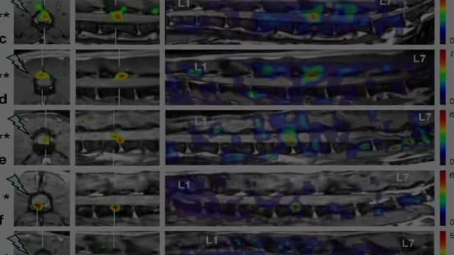 Werewolfentary Part Six ( Werewolf Documentary )