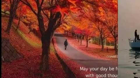 Prayer for Today