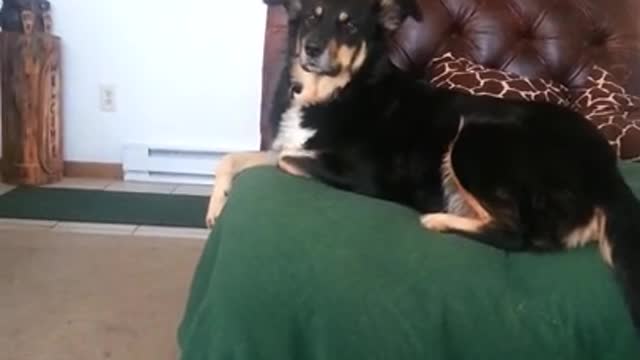 Roxie Smiley Singing!!!