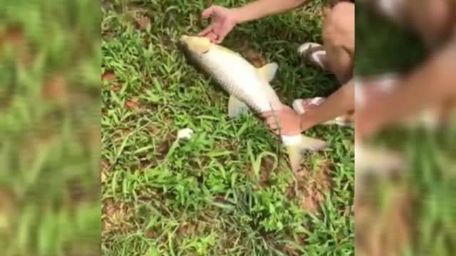 Fishing ca tram sieu to khong lo