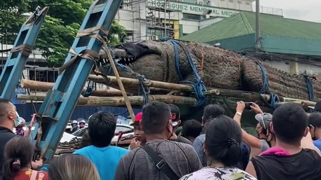 The biggest crocodile in the world