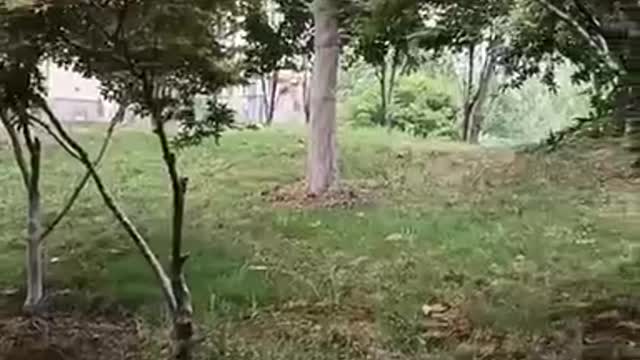 great place to camp