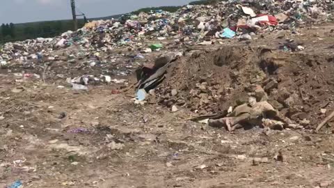 Ukrainian trash cans