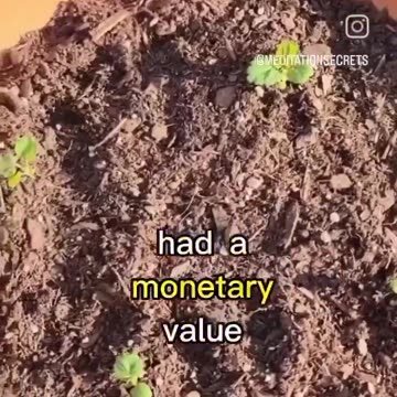 You’ve been conditioned to forget this