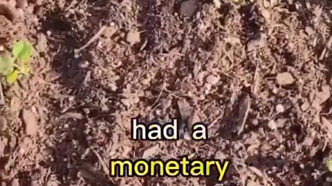 You’ve been conditioned to forget this