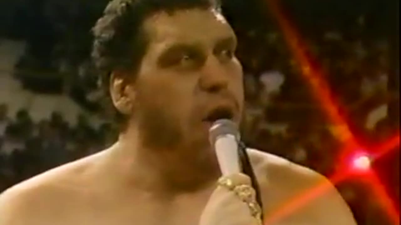 WWF Superstars of Wrestling Mar 17 1990