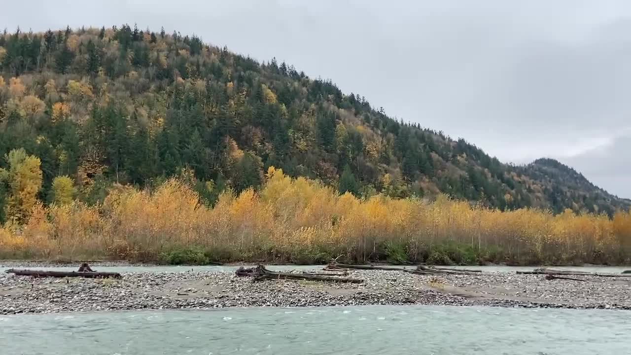 Relaxing river sounds in the city of Chilliwack