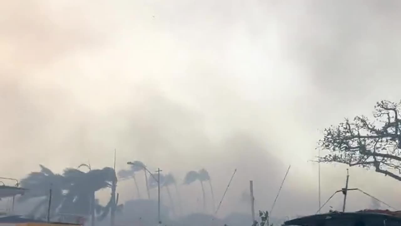 Maui Fires - Grabbing Who We Could