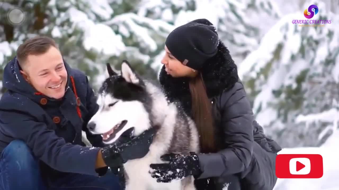 Top 10 Dogs in the World