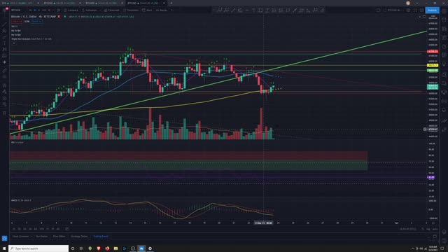 Market Analysis 3/23/2021