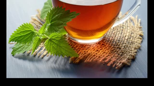 National Drinks From Different Countries