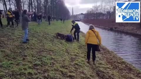 Police with dogs in The Hague shoots with a fun at freedom protest