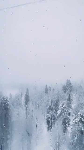 The beauty of winter