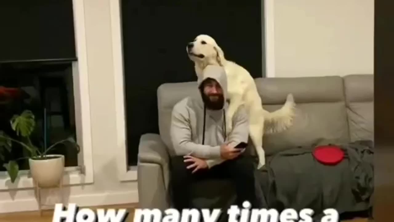 How many times? 🤣🤣