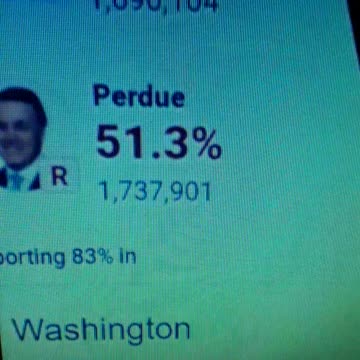 INTERNATIONAL WIDE ELECTION FRAUD VOTING MACHINE CRIME, GEORGIA RUNOFF SHAM ELECTION CRIME 57
