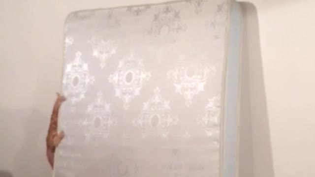 Kitten climbs mattress leaning on wall