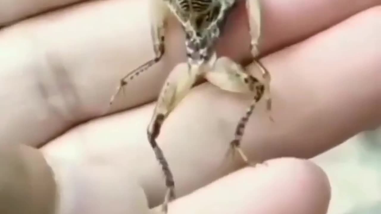 Unbelievableš±