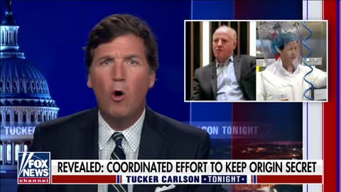 Tucker Carlson: "The whole thing was a fraud"