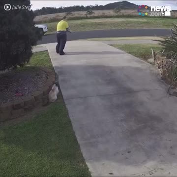 Meanwhile in Australia they lure your cat so they can fine you