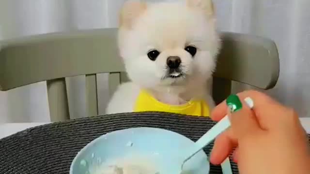 How cute! Do you like it?