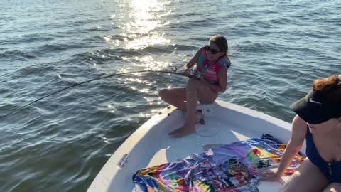 Big CatFish