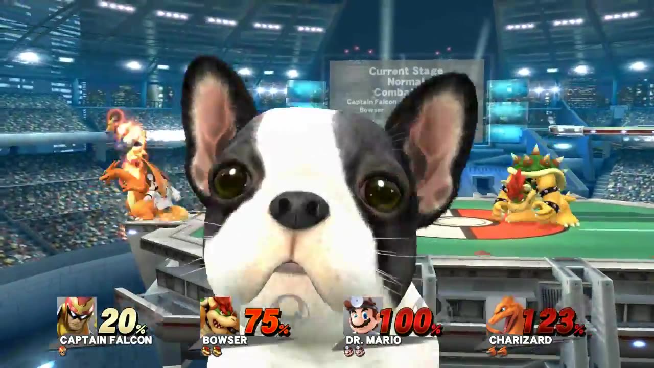 Super Smash Bros 4 Wii U Battle687