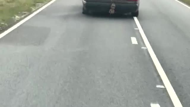 Car Surfing in Scotland