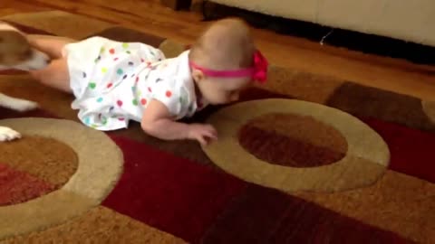 DOG TEACHES BABY CUTE TO CRAWL