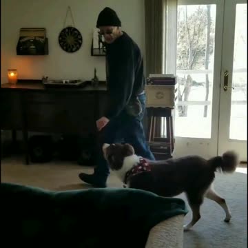 Forrest and we practice behaviors behaviors