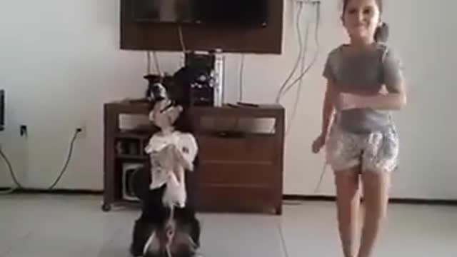 DOG DANCING THE STEP