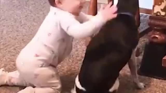 Amazing Feeling Of Small Baby and Puppy With Each Other