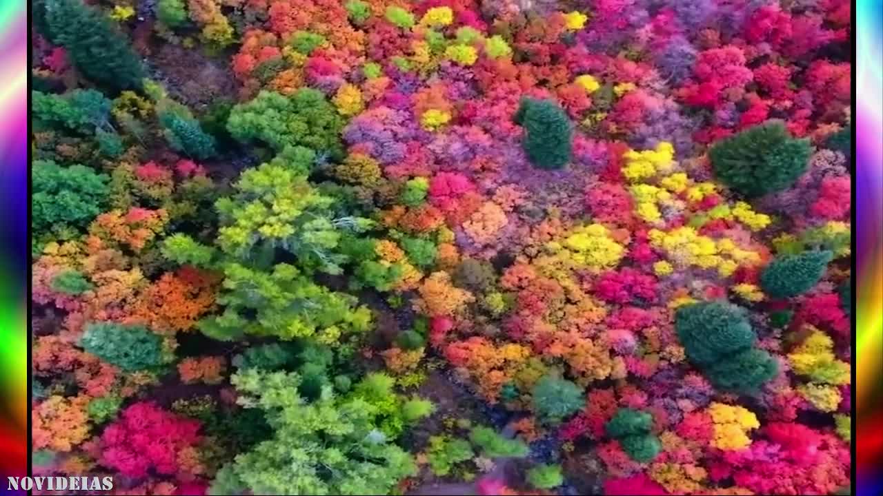 "Paradise exists here on our planet"