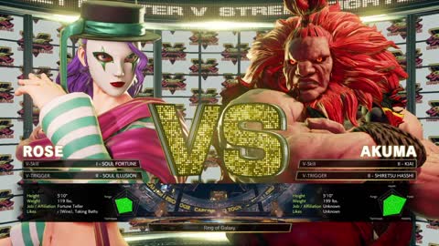 Street Fighter V