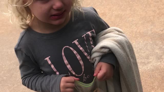 3-Year-Old Doesn't Like That the Lab Stole Her Car Seat