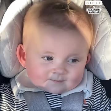 Mum is clearly the favourite