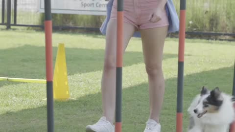 PLAYING WITH THE DOG