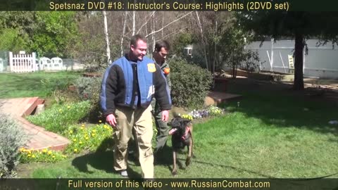 tricks how to defend yourself against dogs