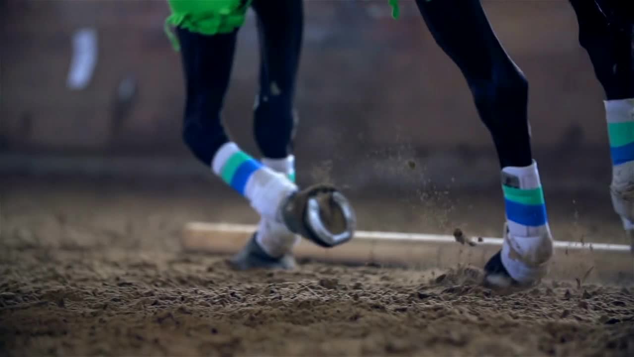 Close Up of Colorful Horse Hooves in Slow Motion