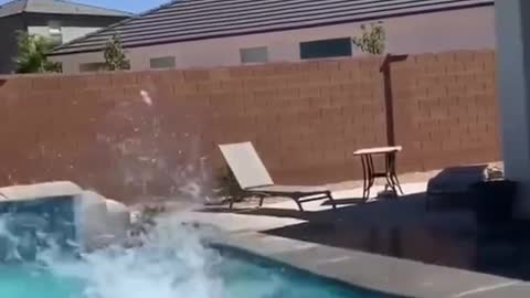 The most impressive sport that isn't really a sport!