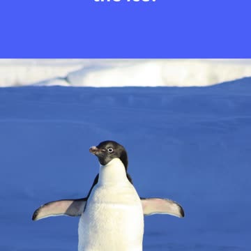 📜 🌟 🚀 What Makes Blood Falls Flow with Red Liquid? 📜 🌟 🚀