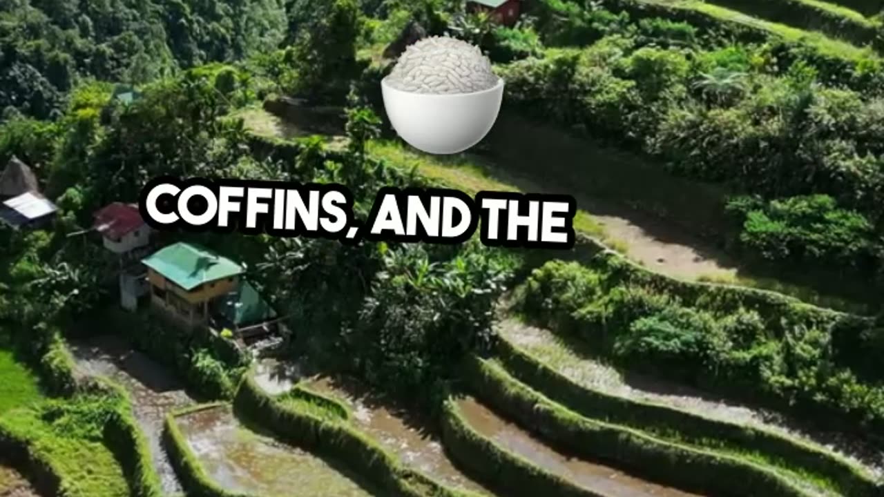 Discover Baguio City's Gorgeous Summer Gems πΏπ